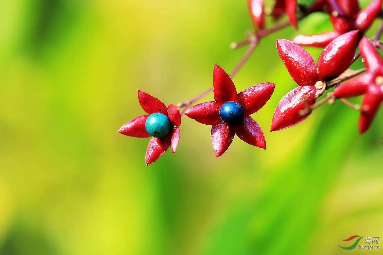 TX0A7438-denoise.jpg