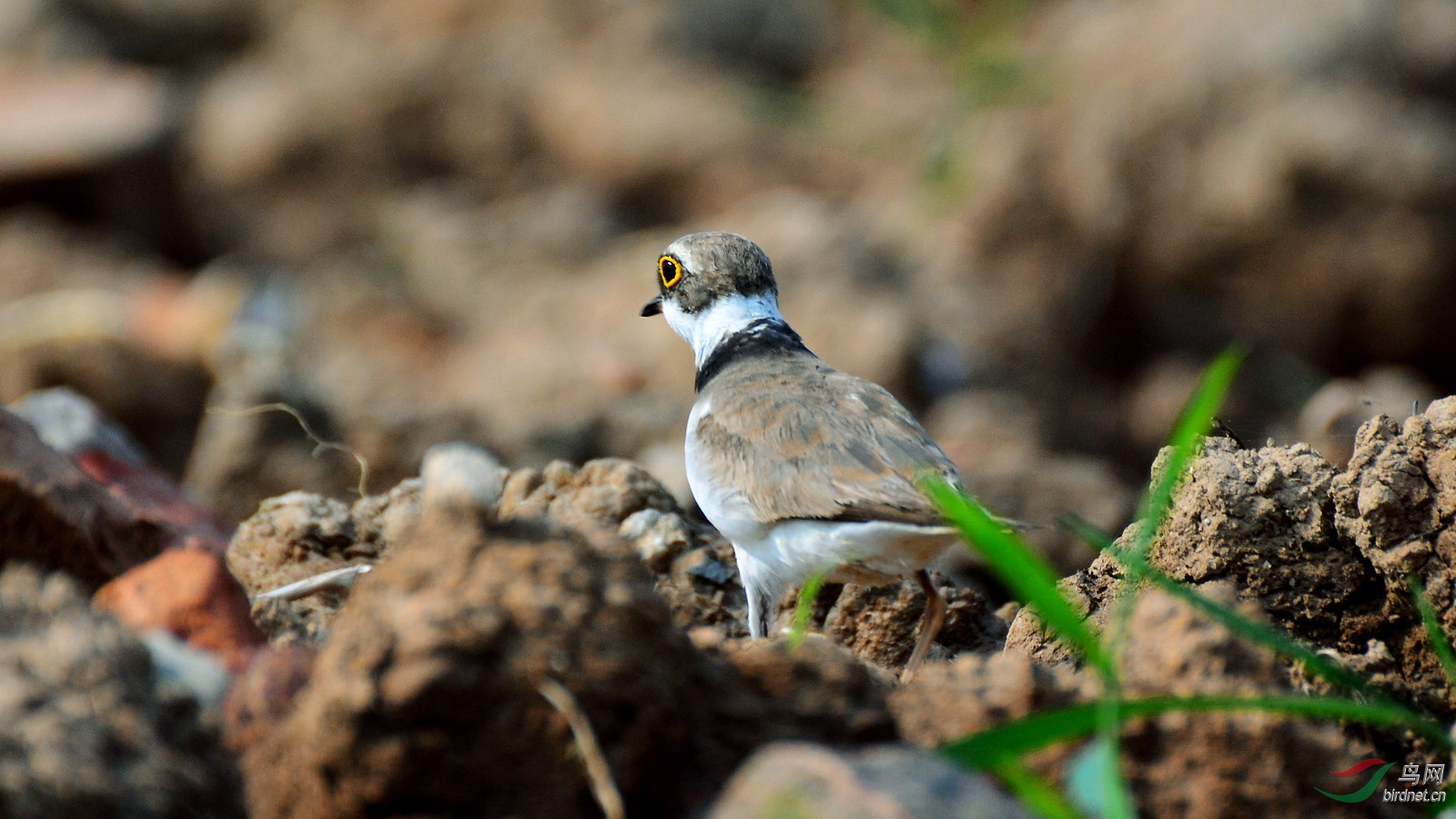 DSC_3575.JPG