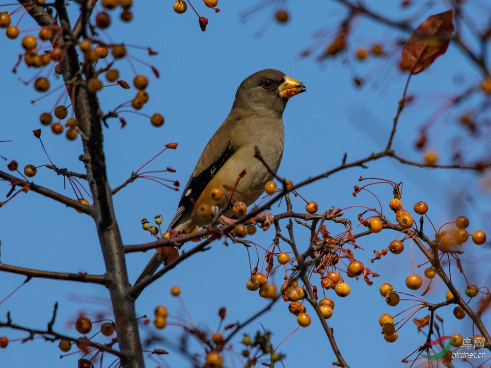 DSC_9441.jpg