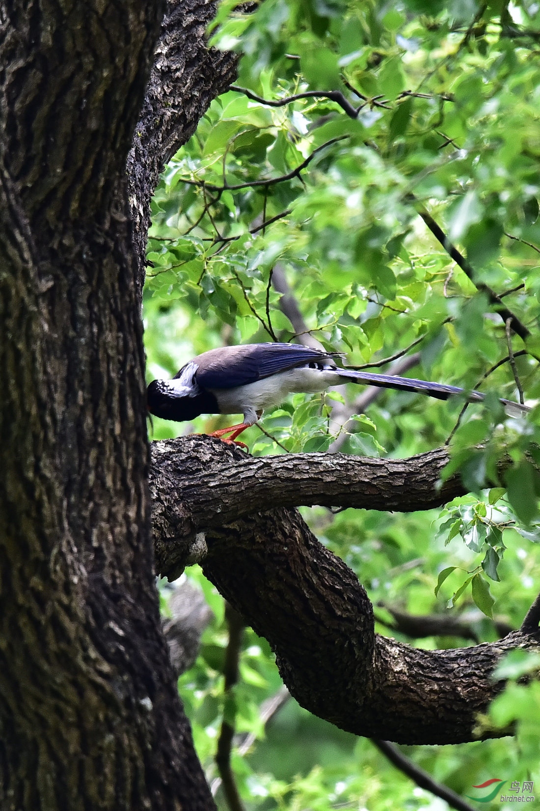 DSC_0541.JPG