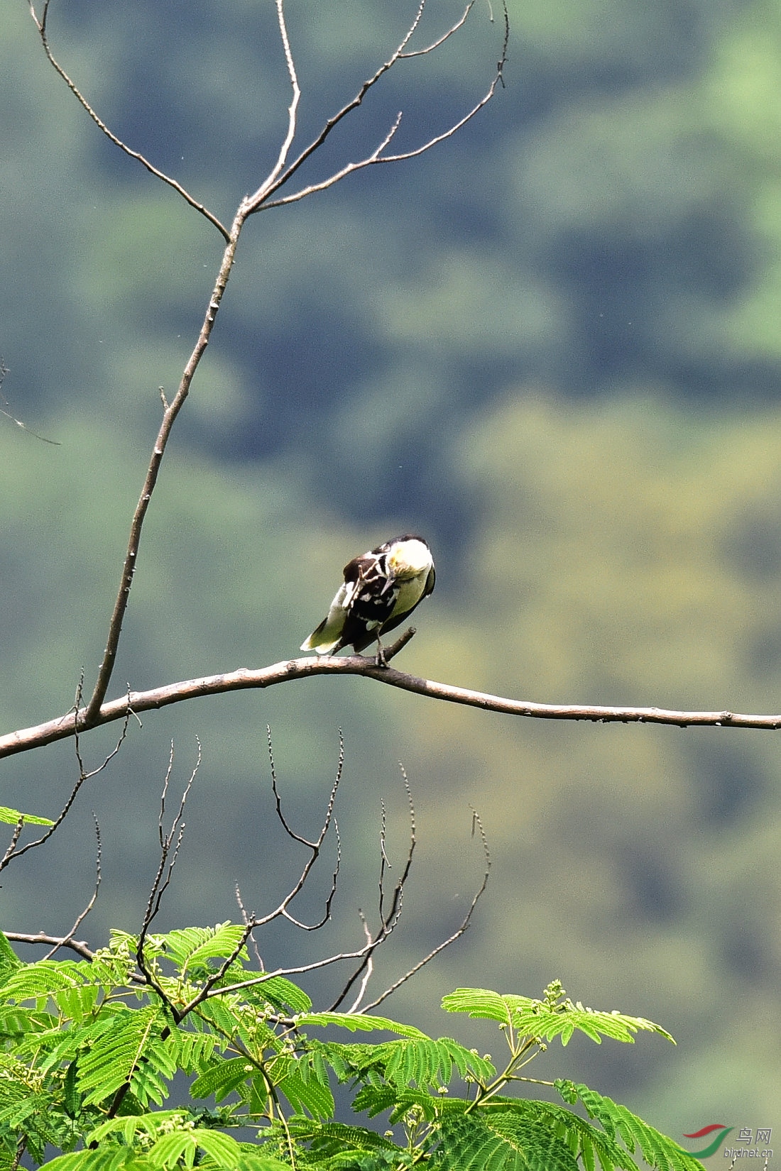 DSC_0122.JPG