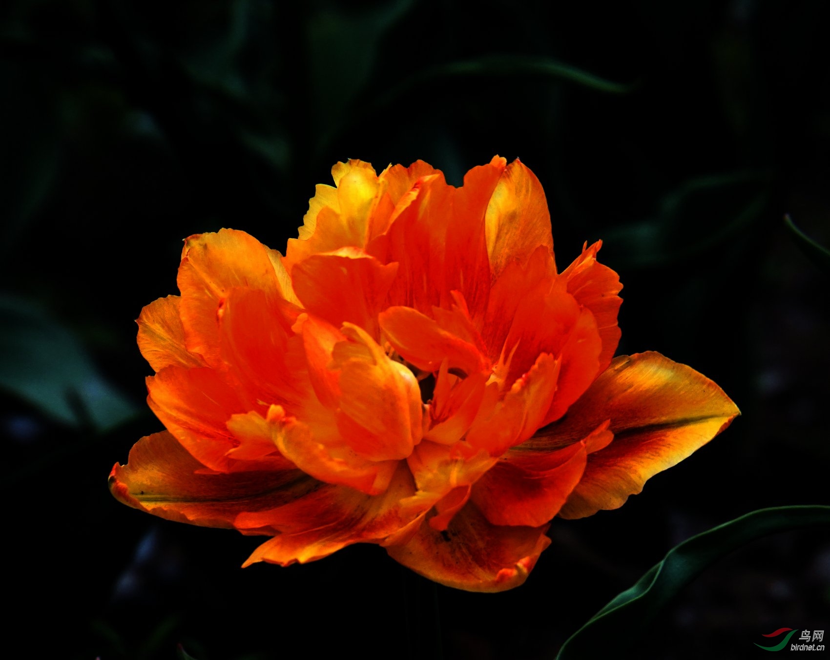 DSC07774.JPG