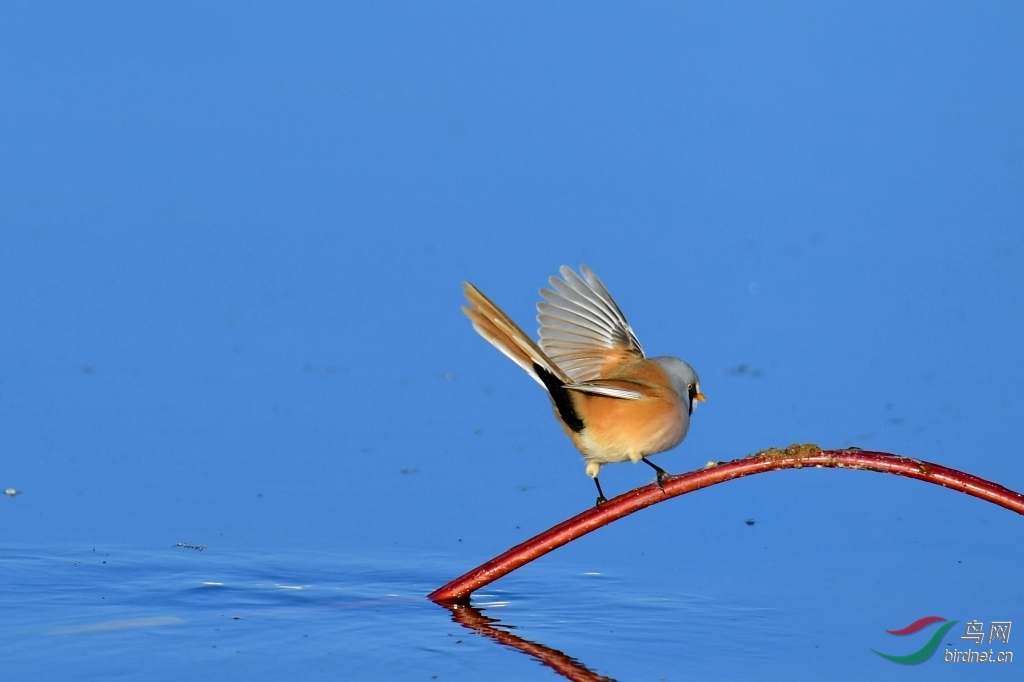 DSC_7008_��ͼ��.jpg
