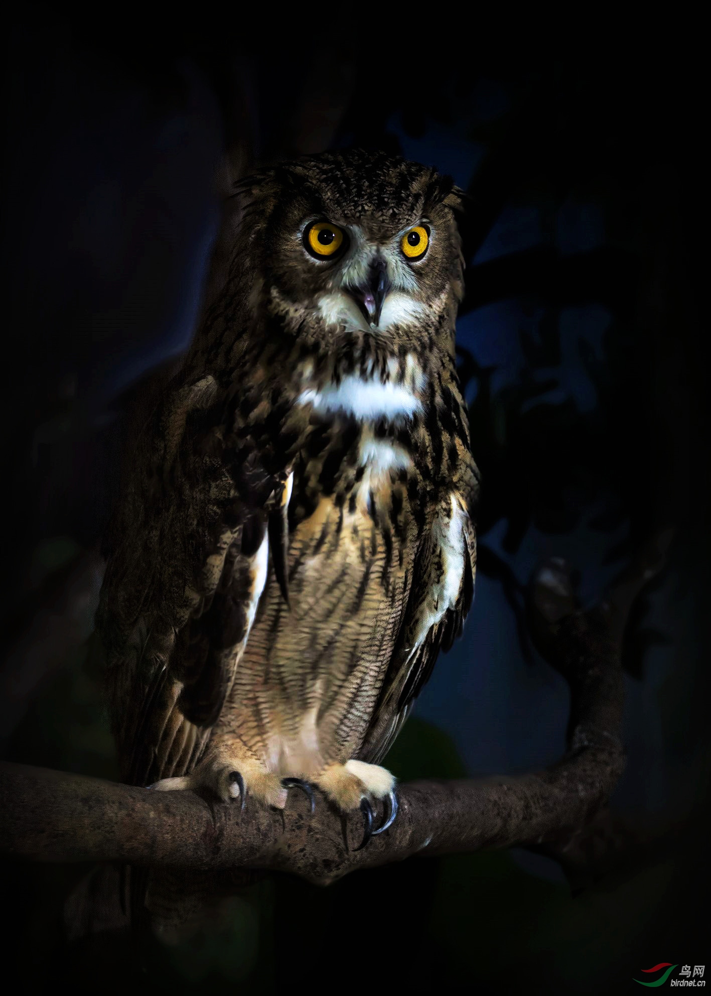 DSC_6651.jpg