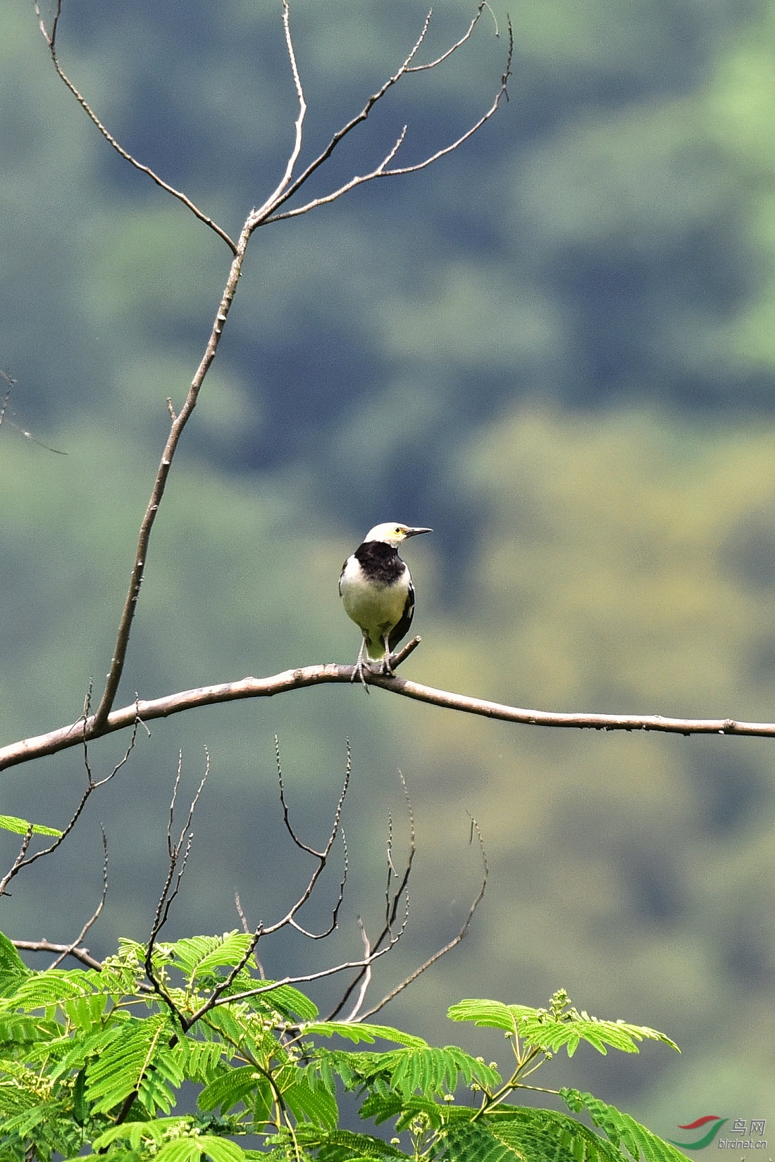 DSC_0126.JPG