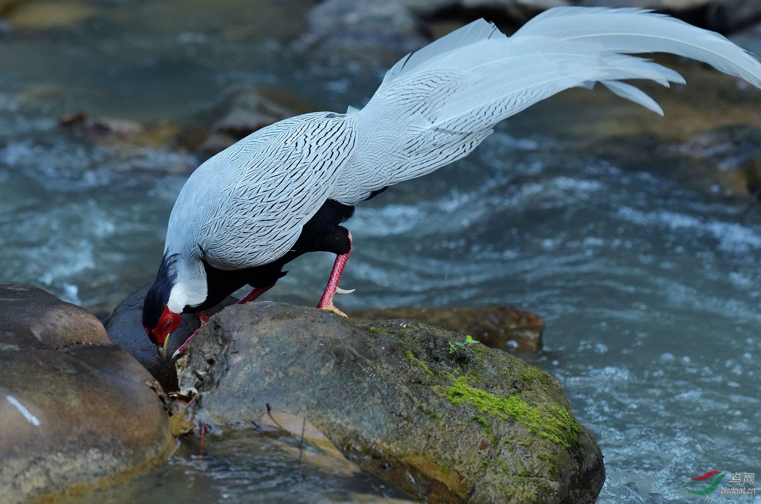 D72_5307.jpg