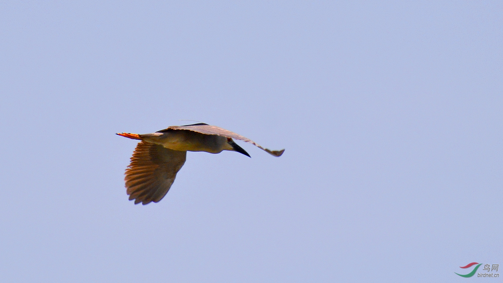 DSC_1020.JPG