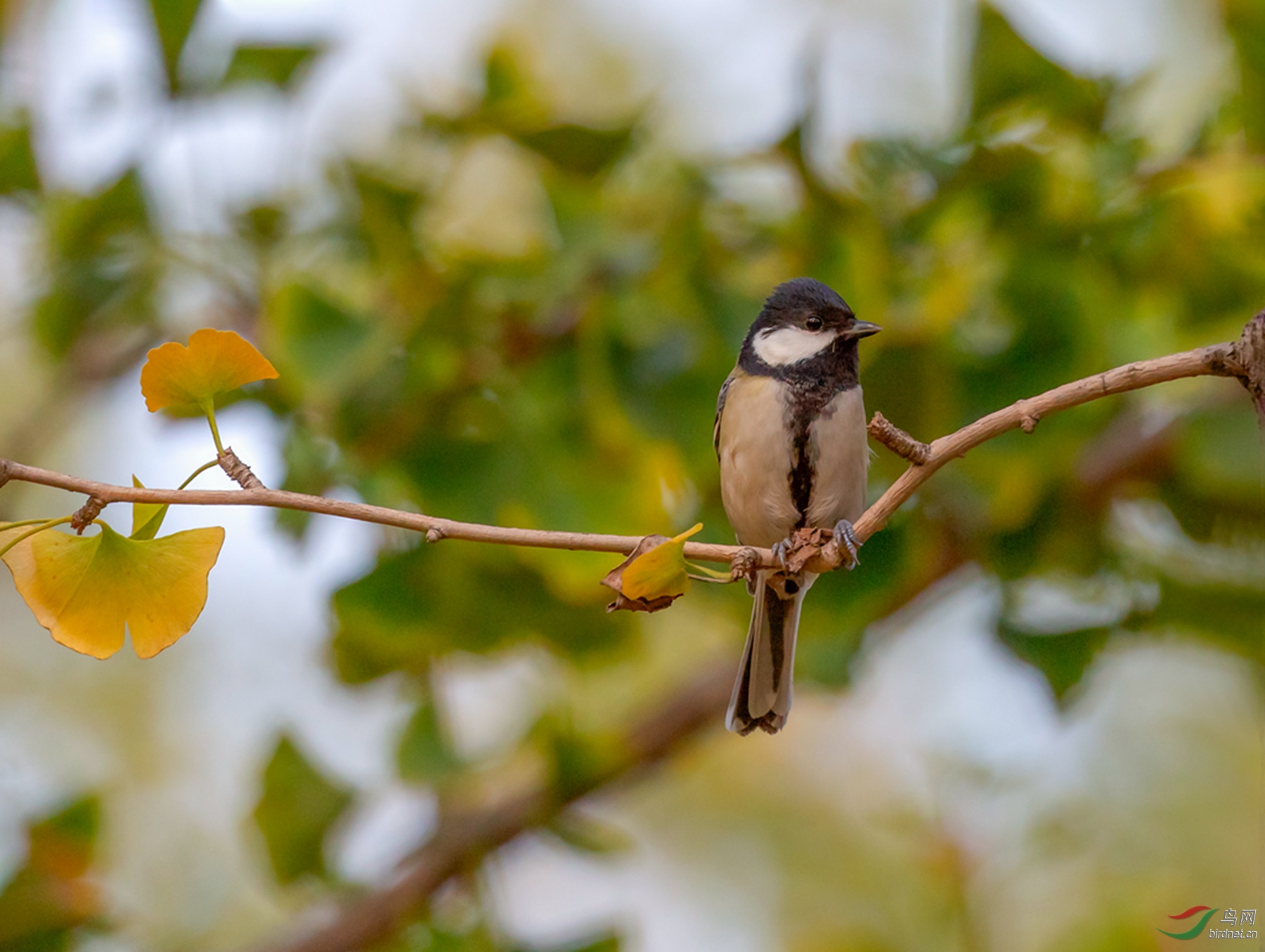 _16A2122  01_����.jpg