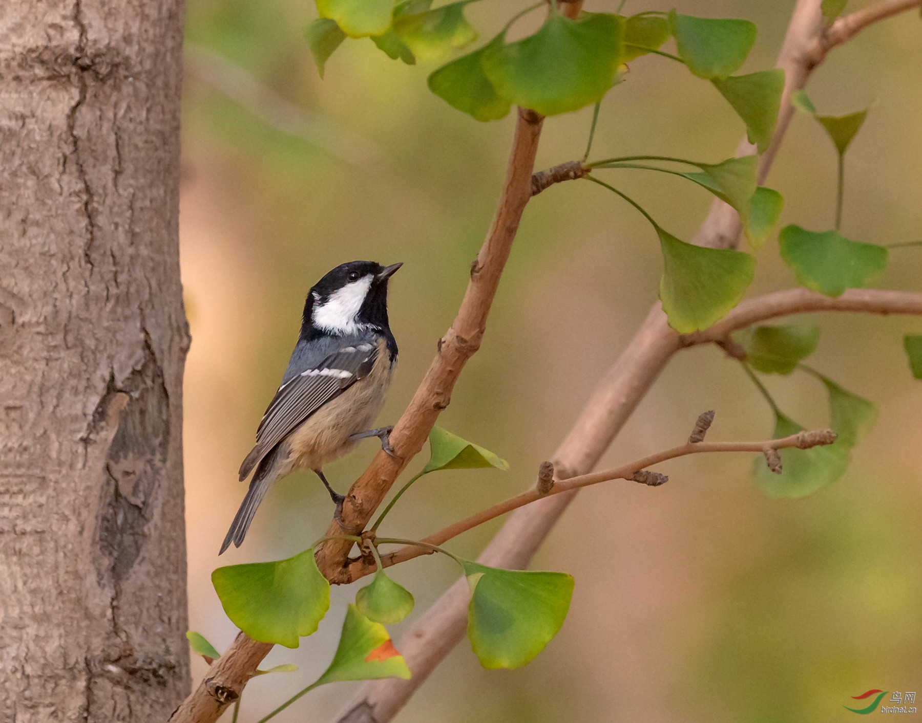 _16A2134  01_����.jpg