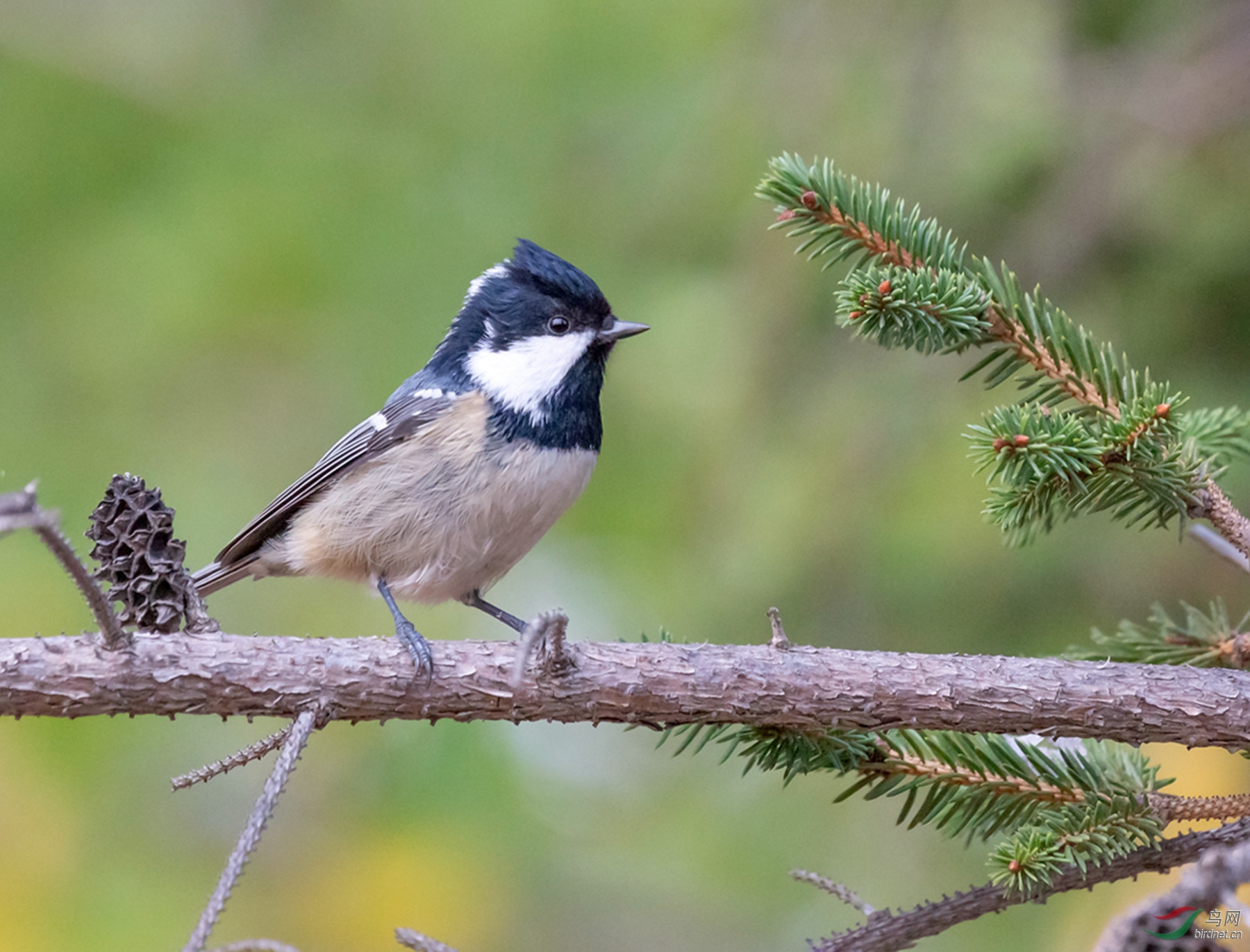 _16A2094  01_����.jpg