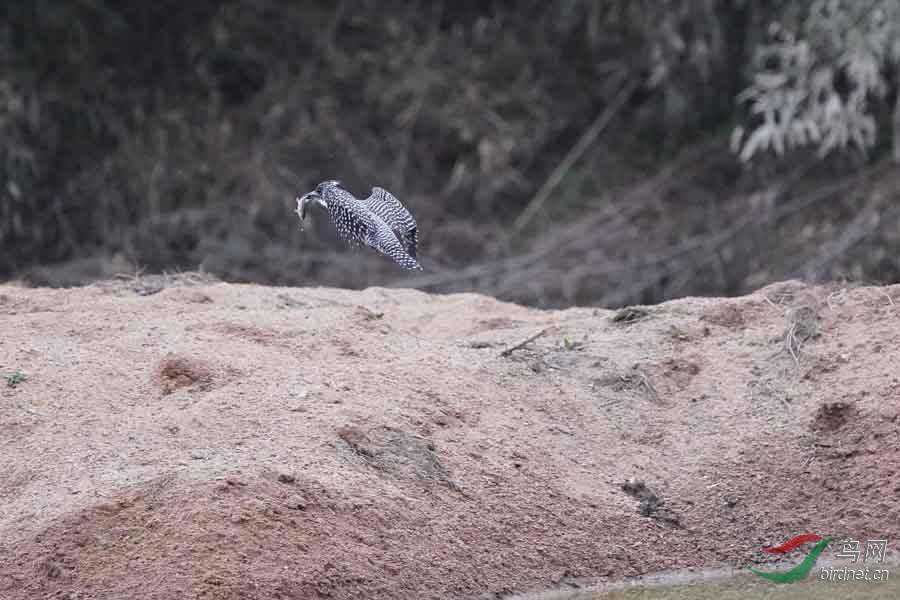 20180224-DSC01024-70.JPG