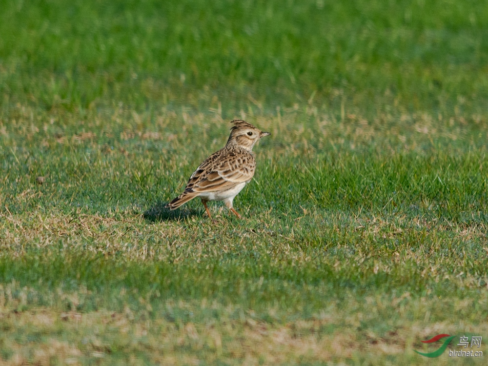 DSC_2965.jpg
