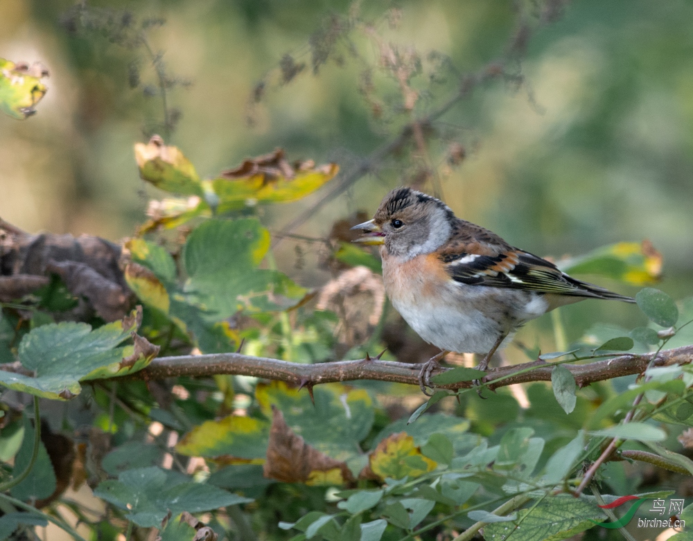DSC_3012.jpg