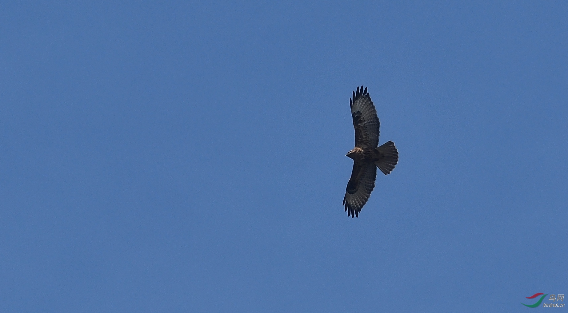 DSC_1014.jpg