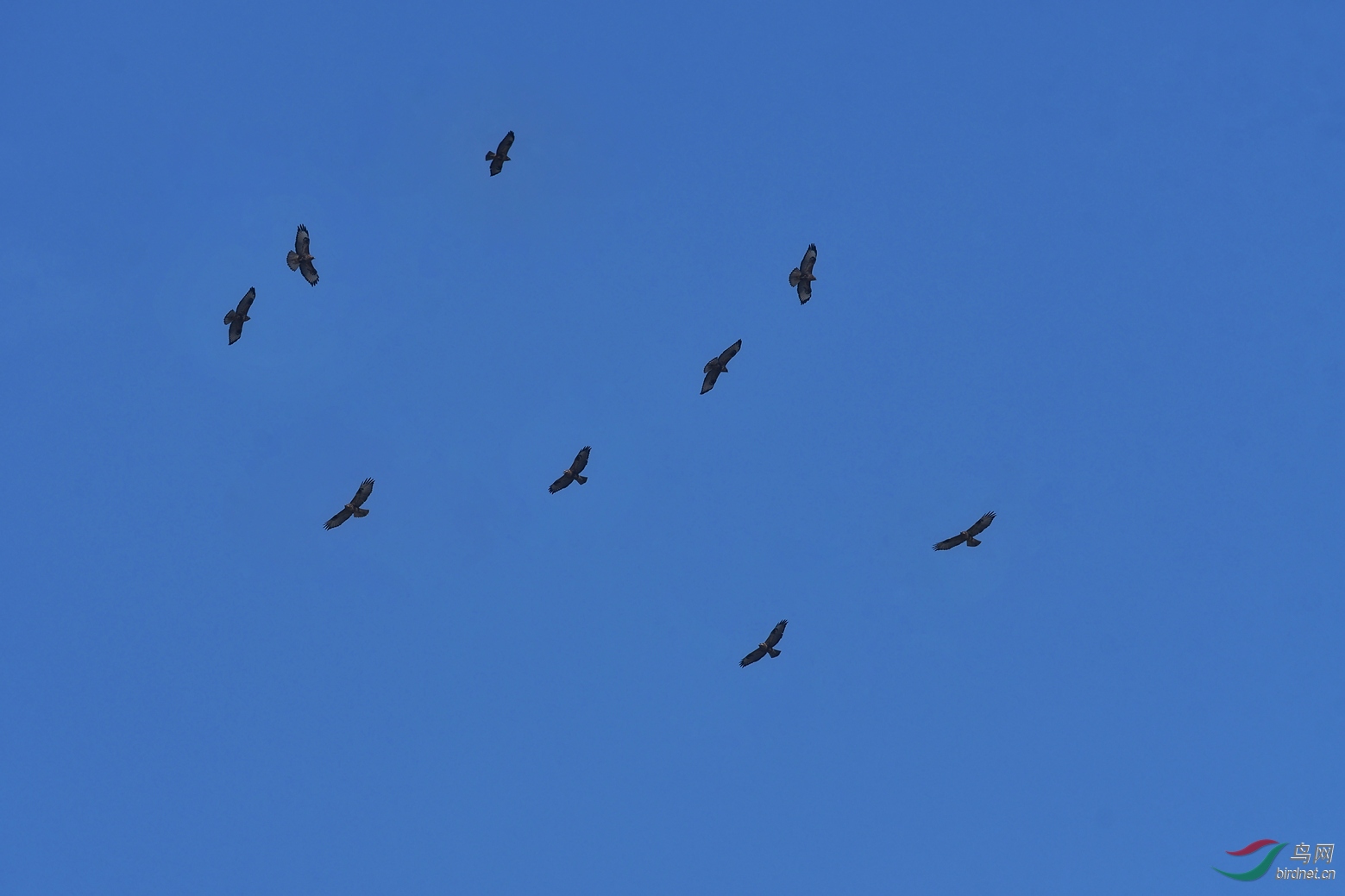 DSC_0955_����.jpg