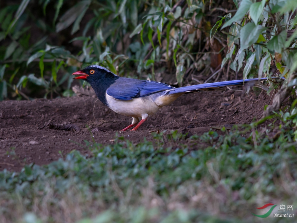 DSC_7760.jpg