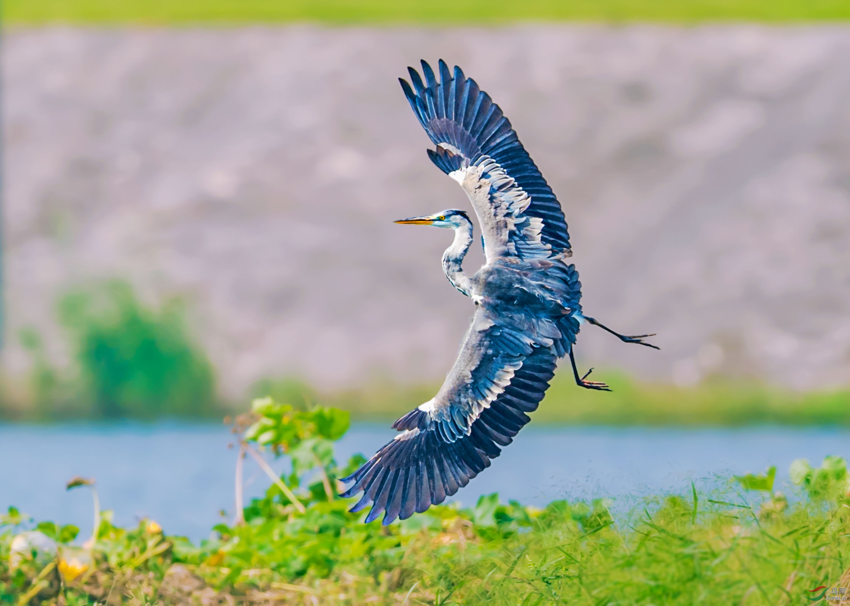 _DSC7820a_4.jpg