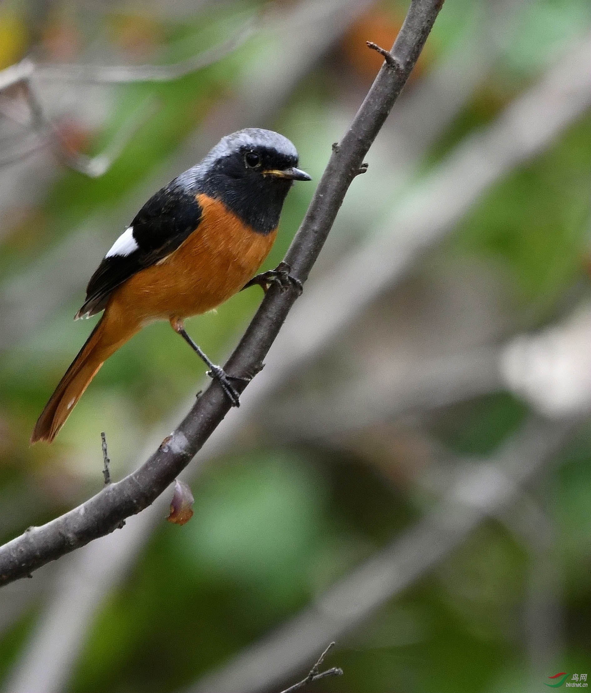 NIKON CORPORATION_NIKON D500_6019680-6022458_000.JPG