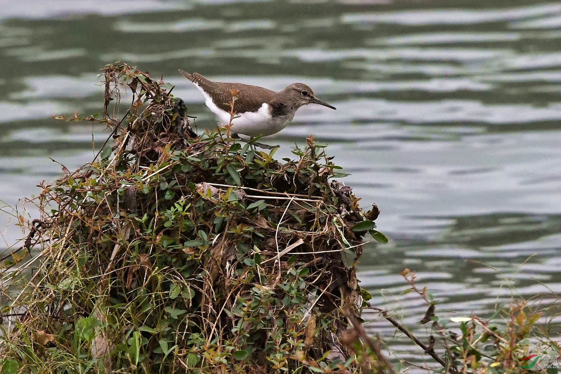 NIKON CORPORATION_NIKON D500_5314944-5317678_000.JPG
