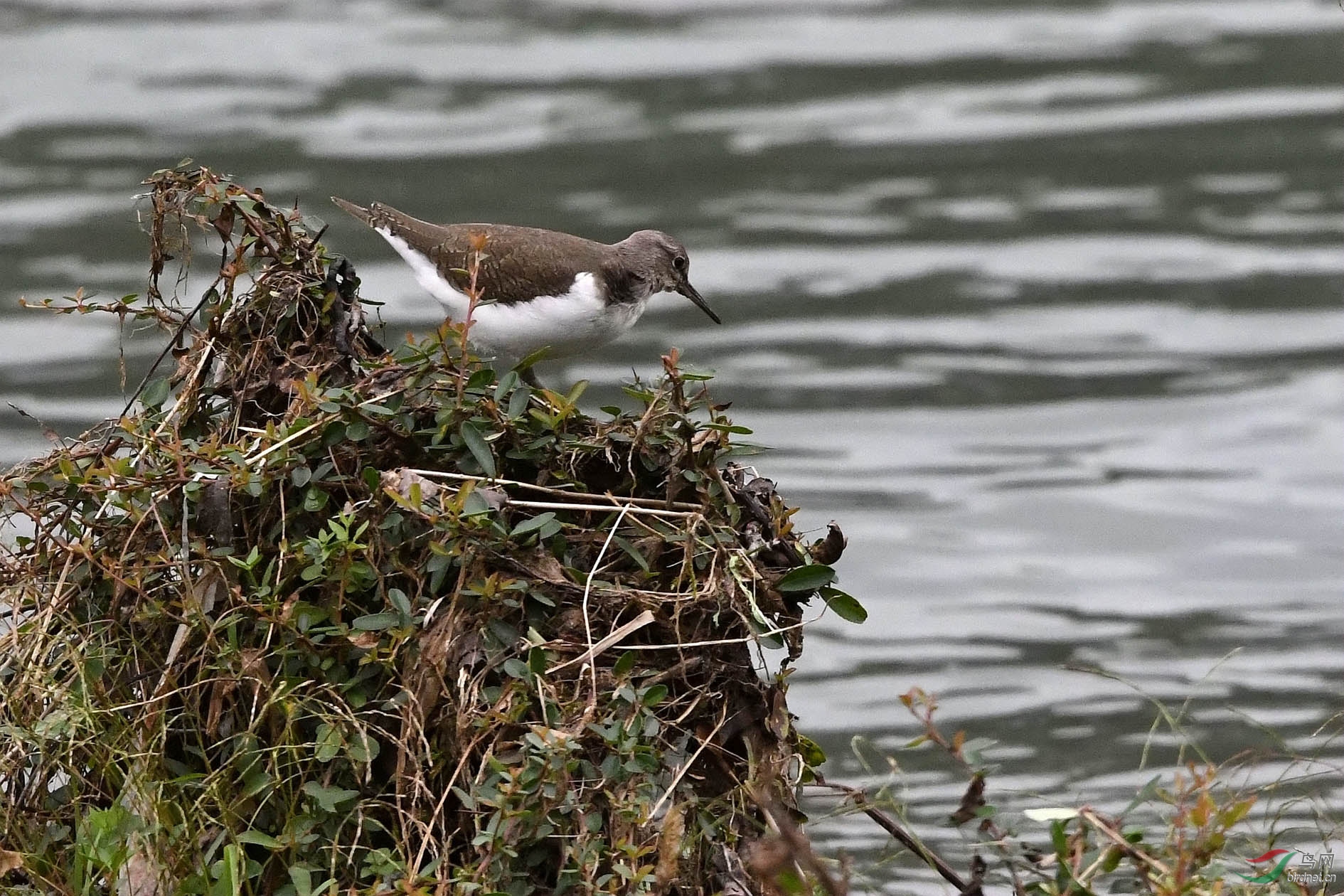 NIKON CORPORATION_NIKON D500_5321008-5323436_000.JPG