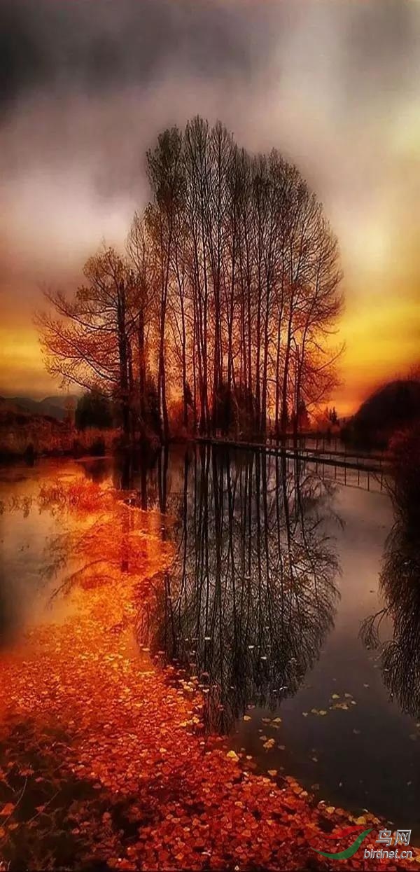 ΢��ͼƬ_20191016113747.jpg