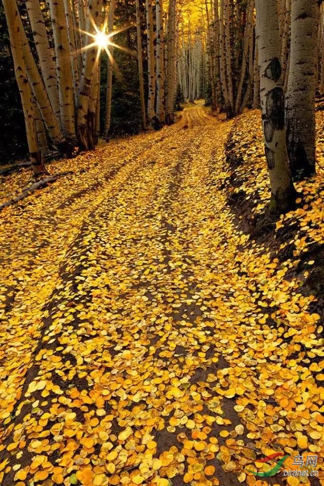 ΢��ͼƬ_20191016113728.jpg