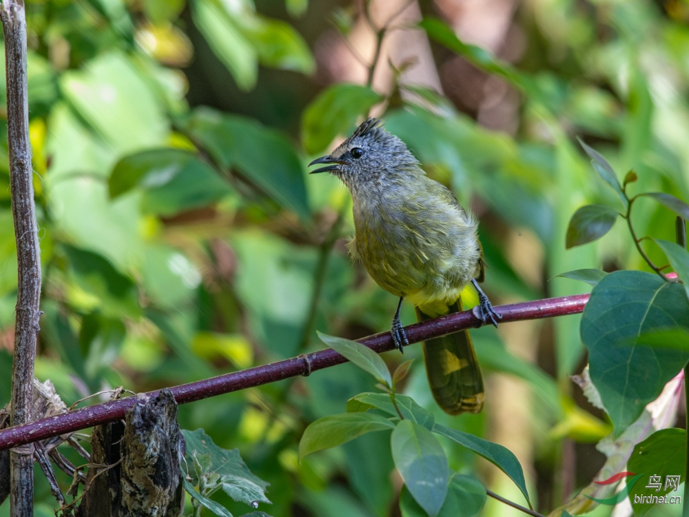 DSC_5631.jpg