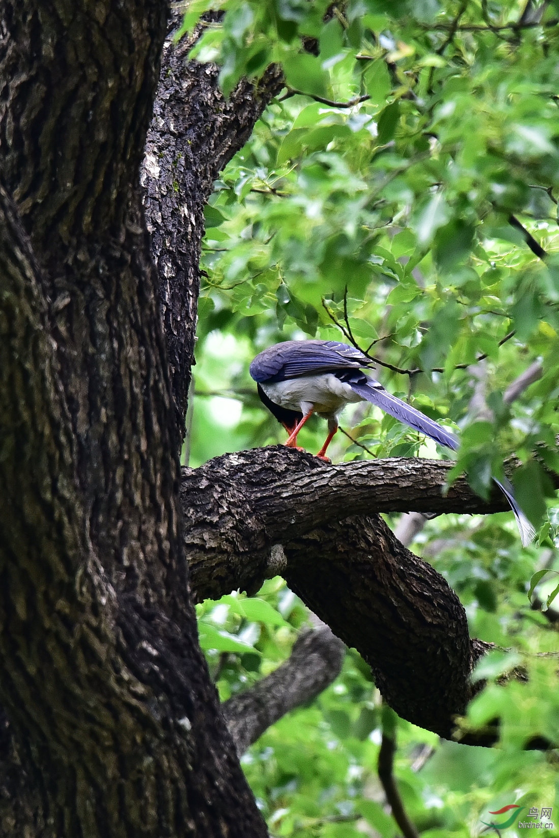 DSC_0548.JPG