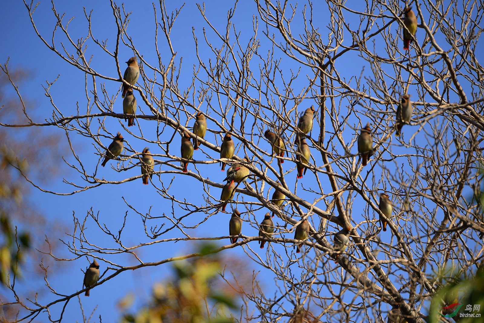 D8A_7853_10706a.jpg