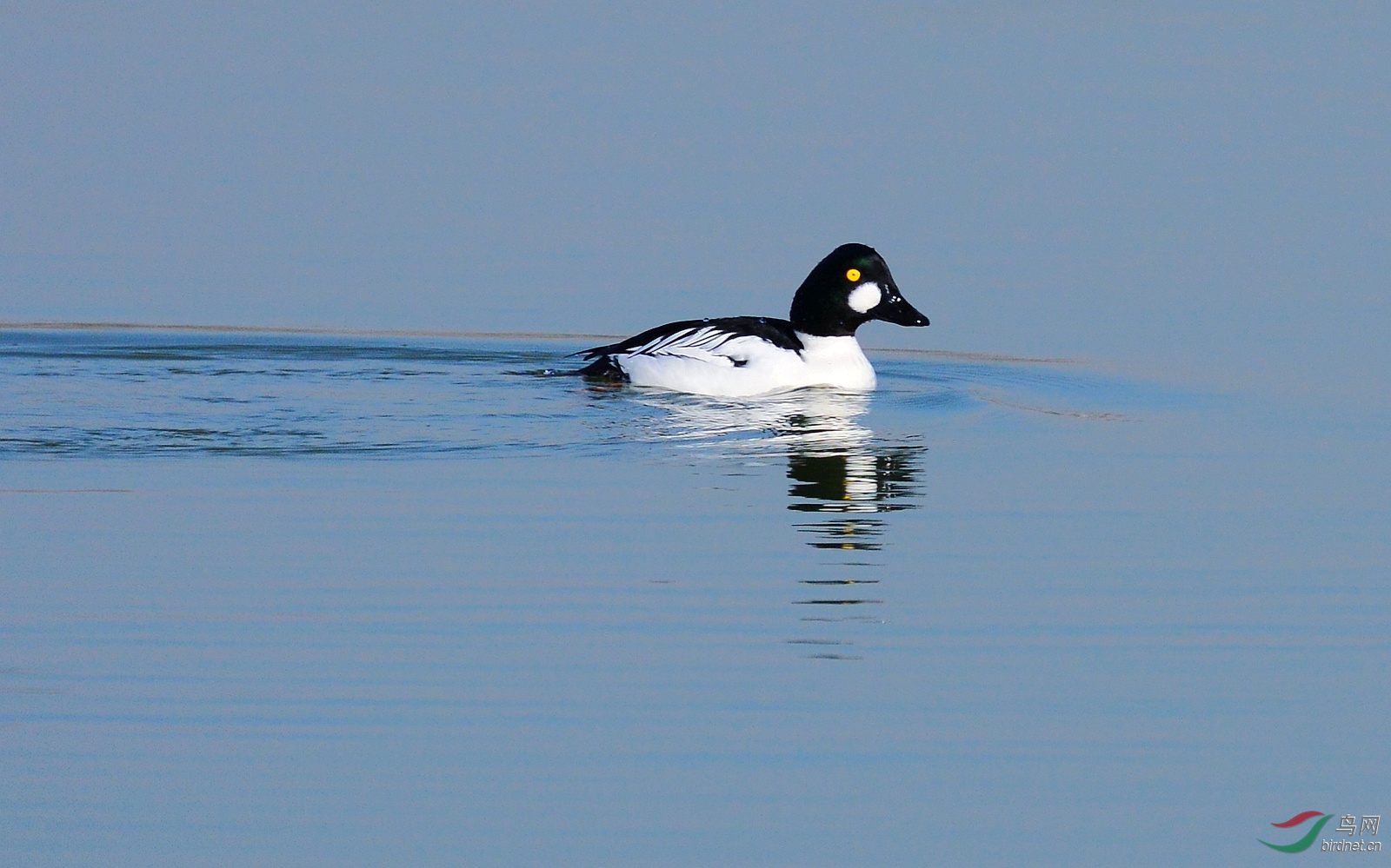 DSC_6508.JPG