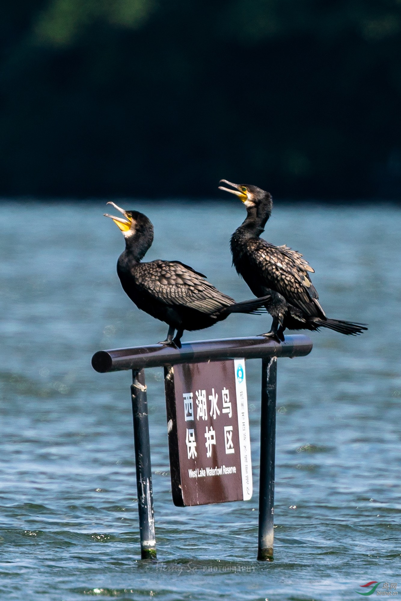 DSC02991 ����small.jpg