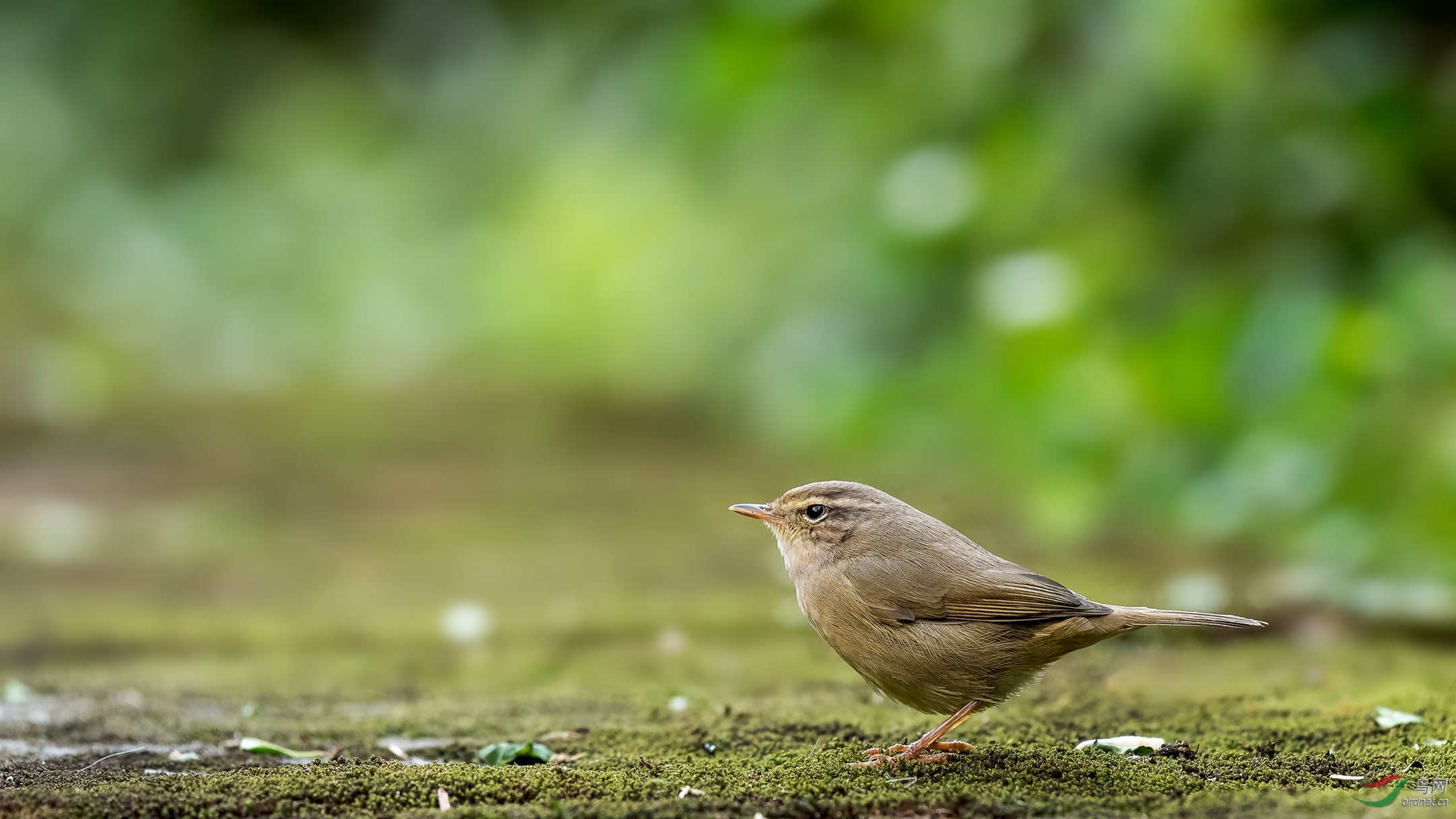 ��_DSC4408_DxO��Ϊ���ܶ���-1.jpg