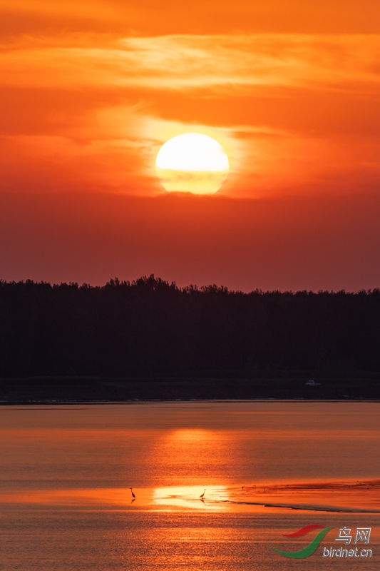 20190816-_DSC5955.jpg