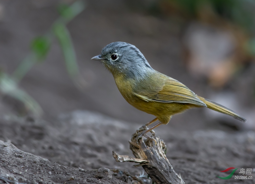 DSC_6149.jpg