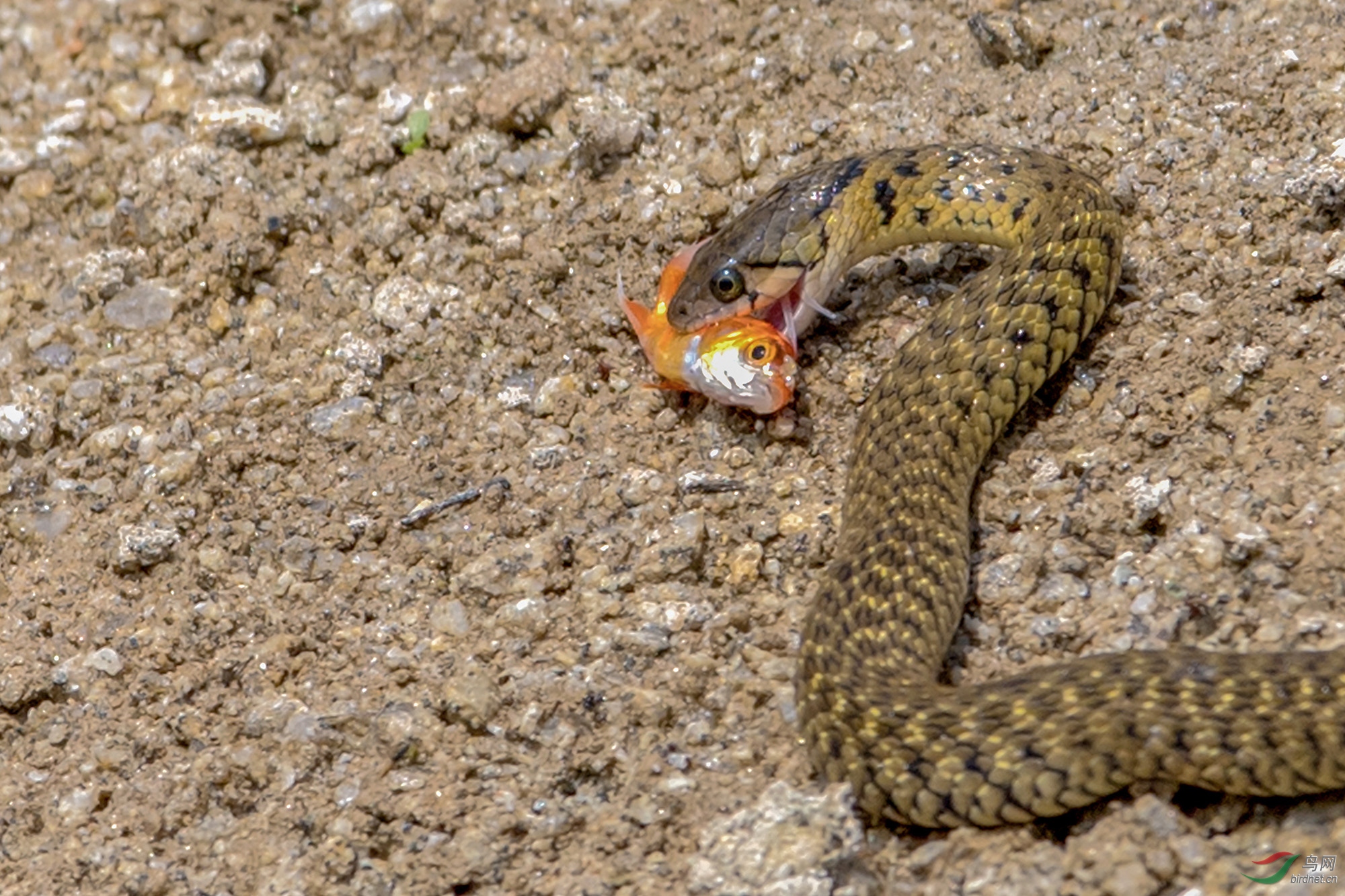 20191017������� (1).jpg