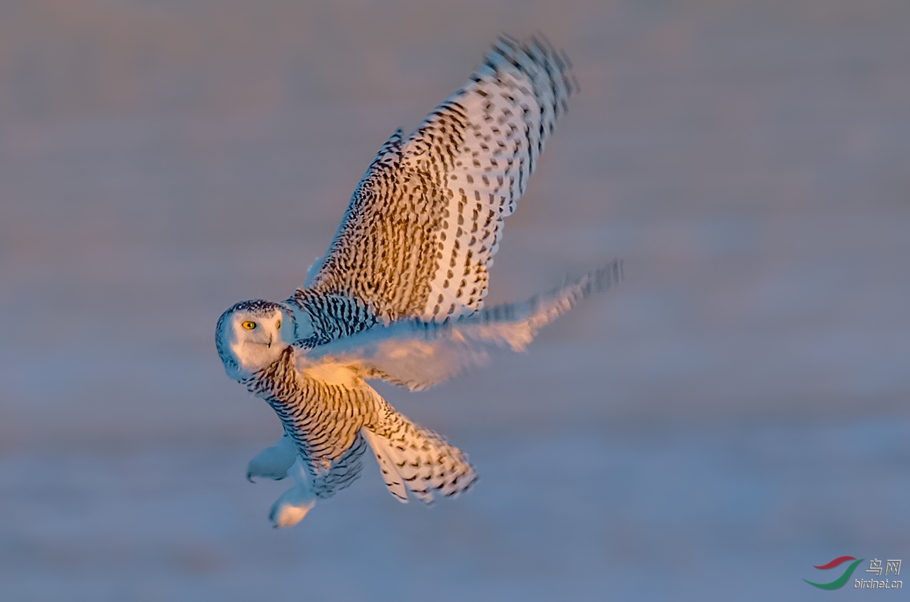 DSC_5268.jpg