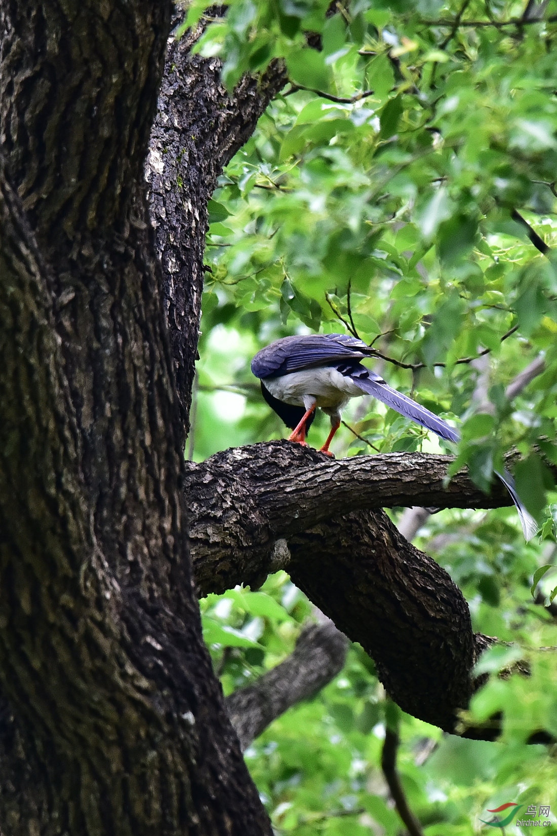 DSC_0549.JPG