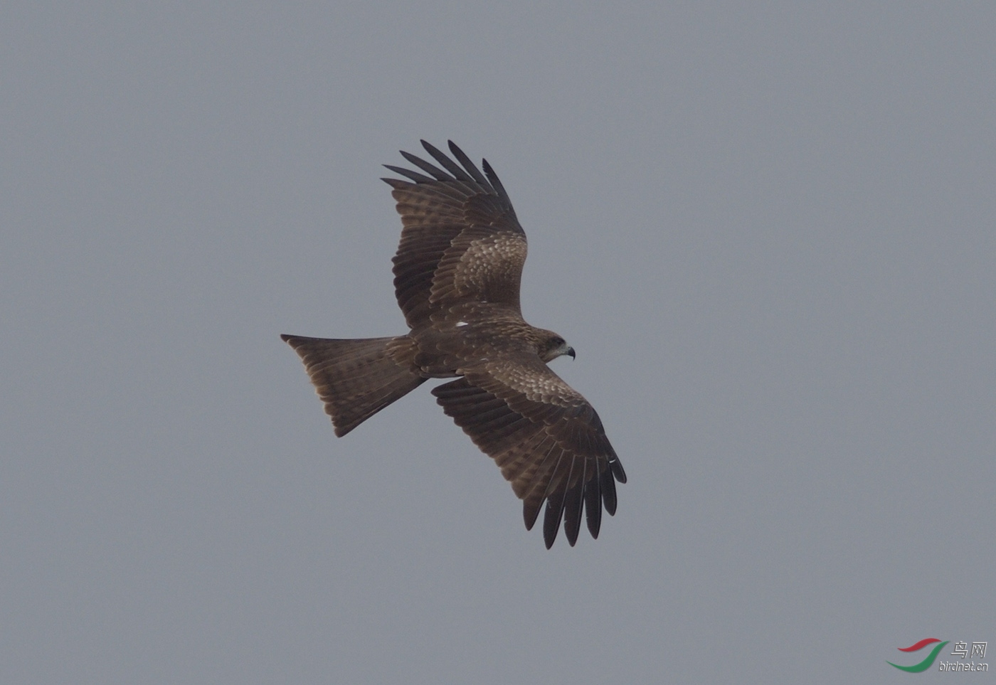 D4S_8514.jpg