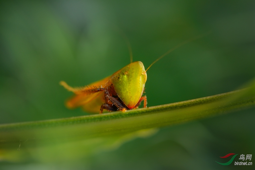 DSC01313_����.jpg