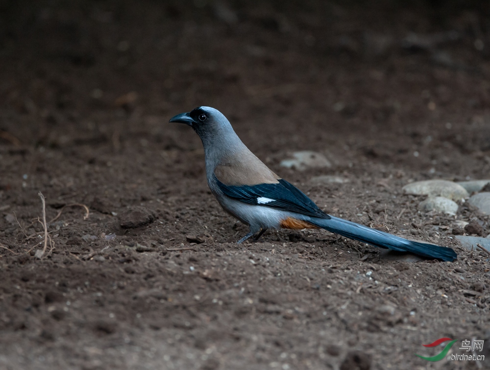 _DSC8643.jpg