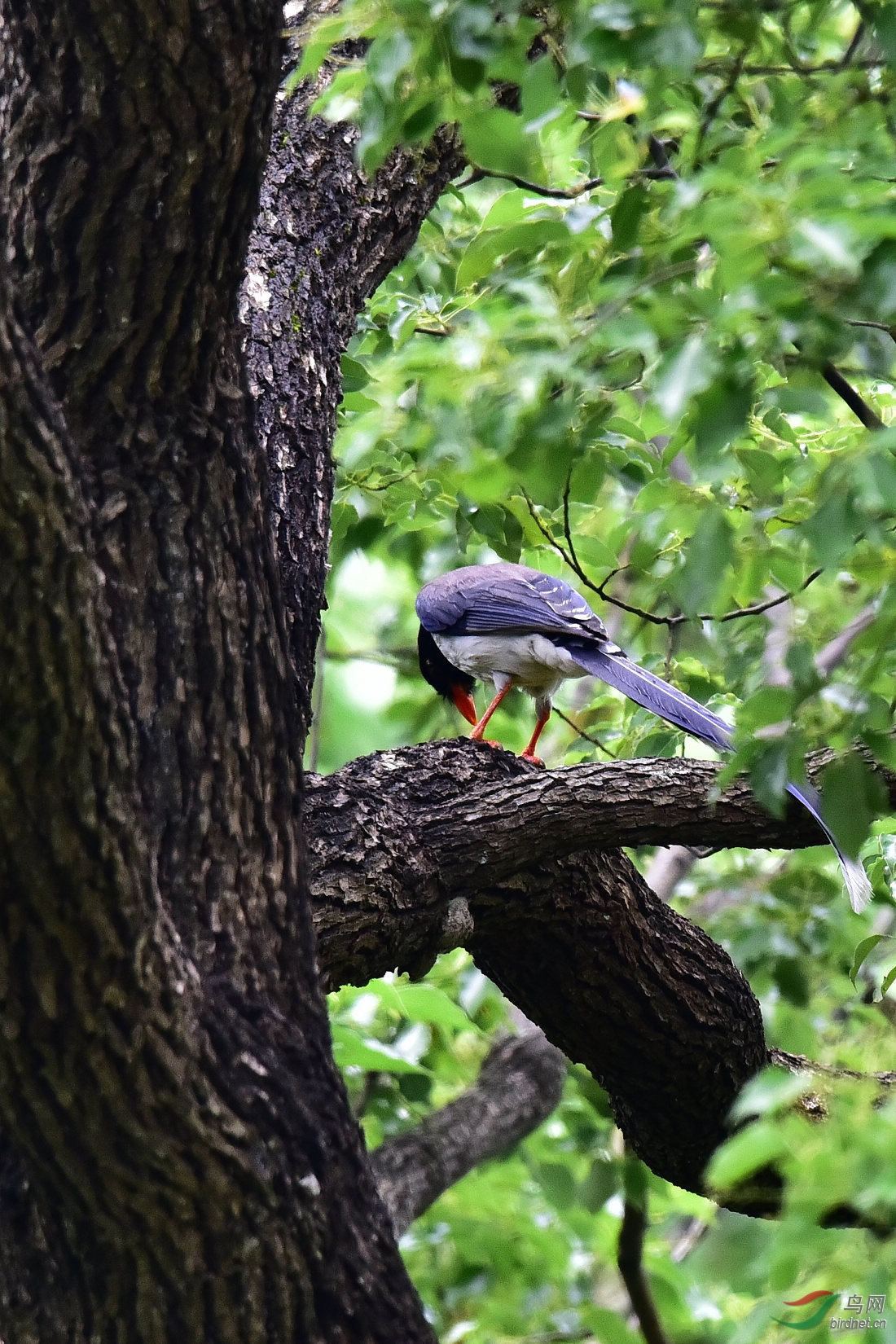 DSC_0551.JPG