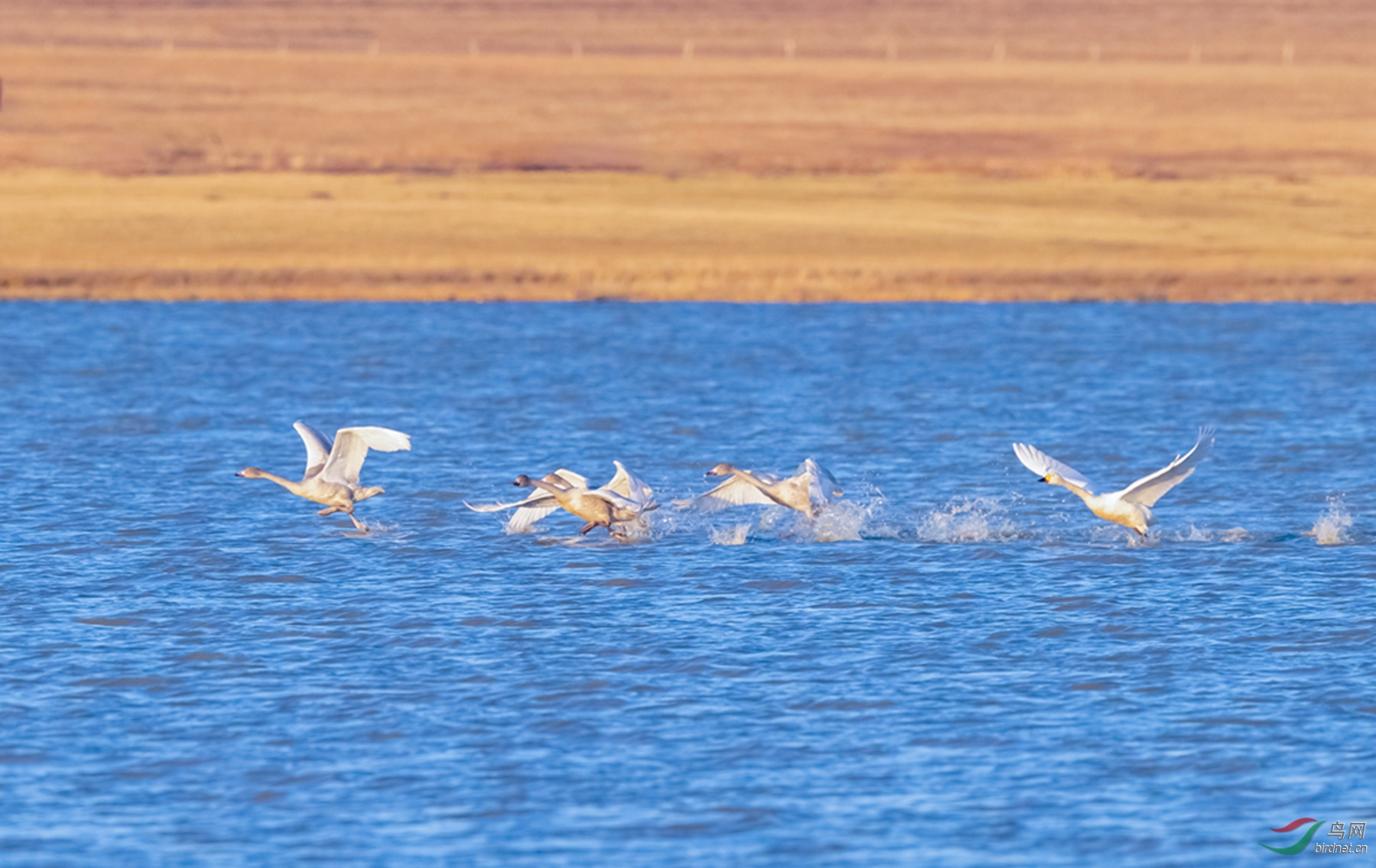 _K8I9653  01_����.jpg