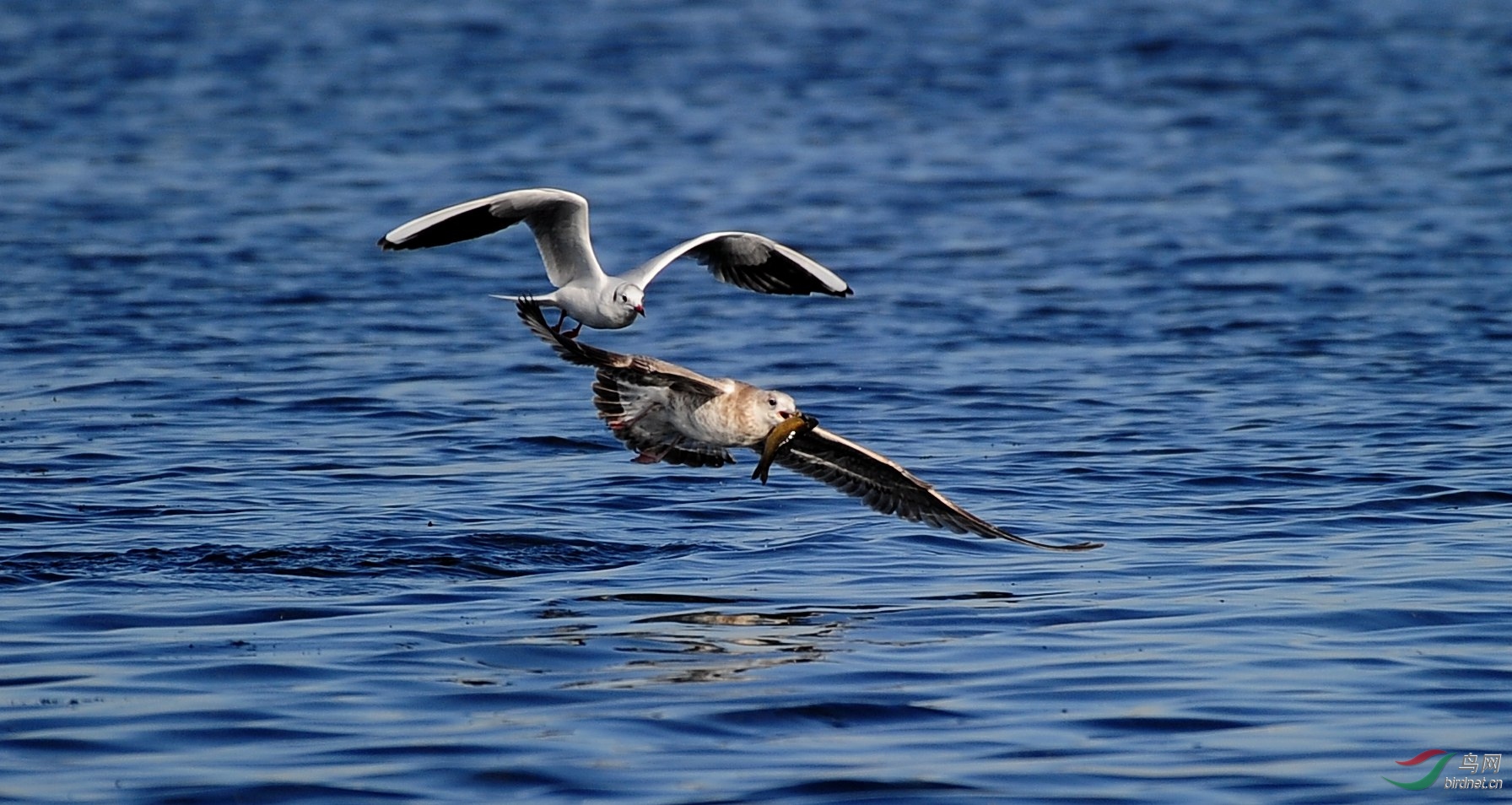 DSC_6807.JPG