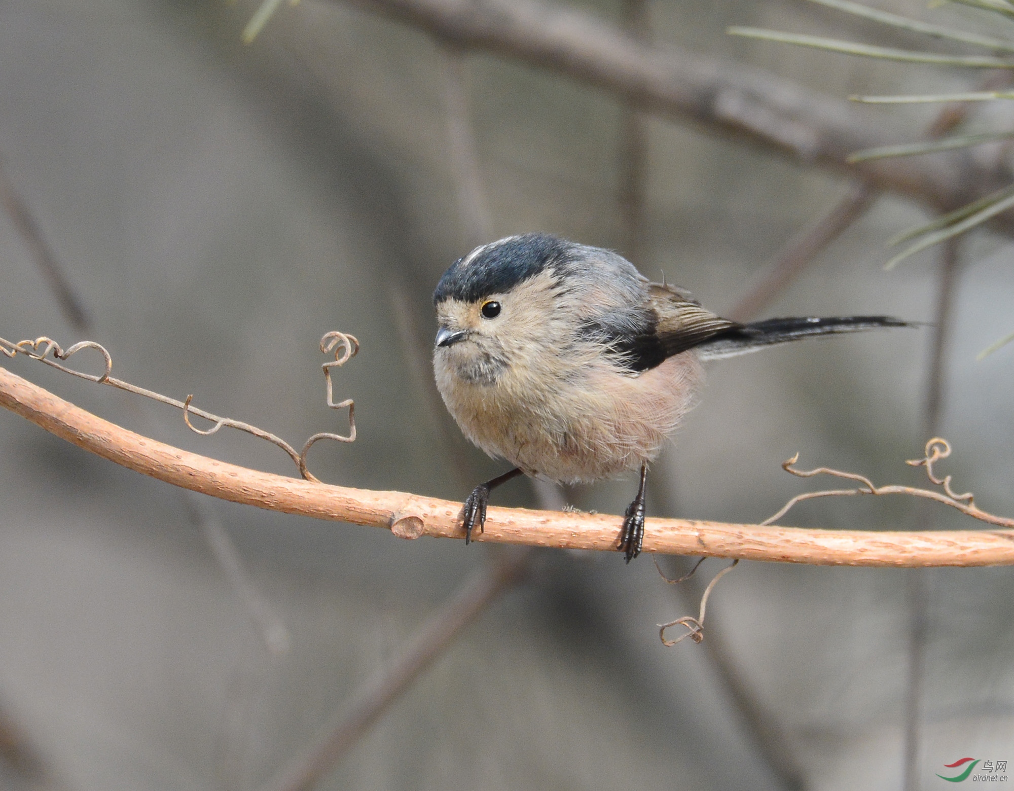 ������Ӱ 082����.jpg