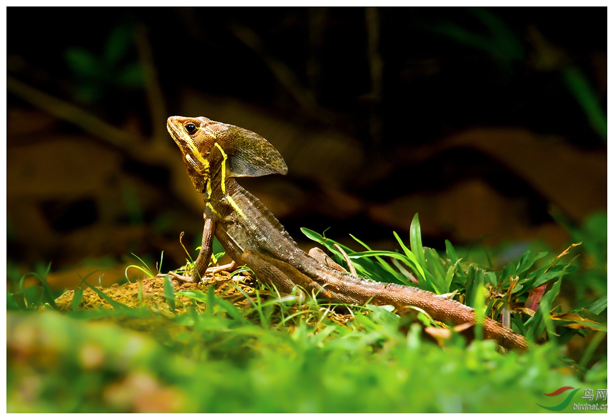 DSC_6548.jpg