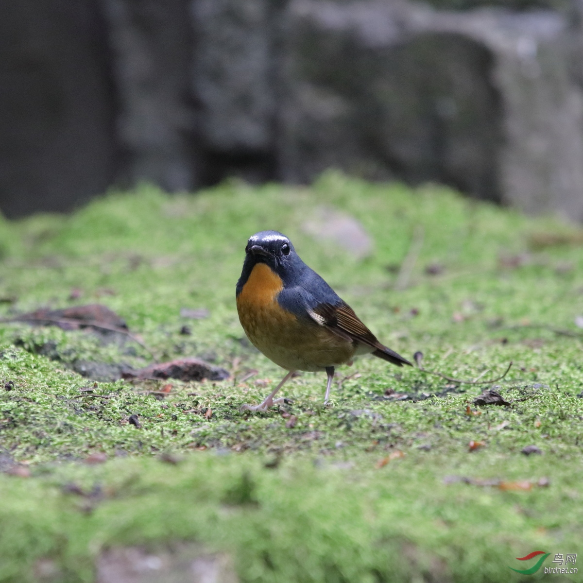 IMG_8334.JPG