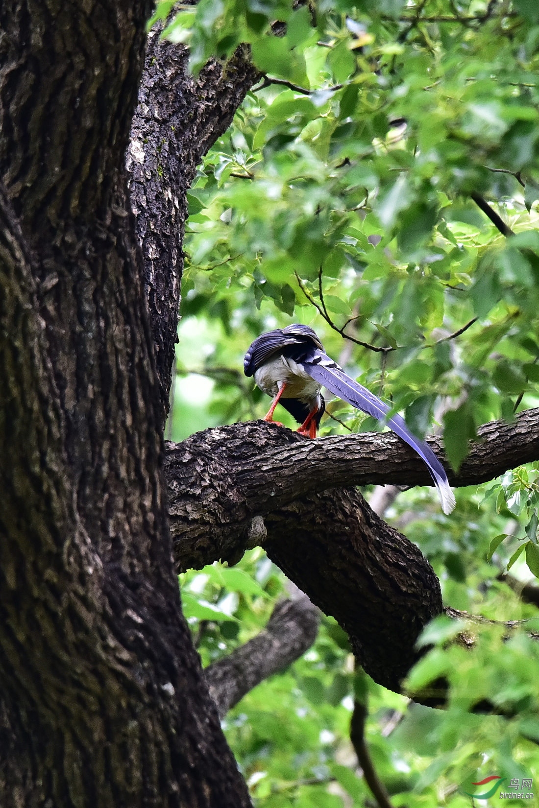 DSC_0554.JPG