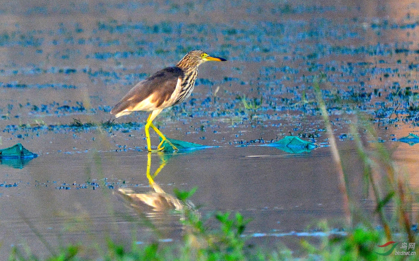 DSC_8057.JPG