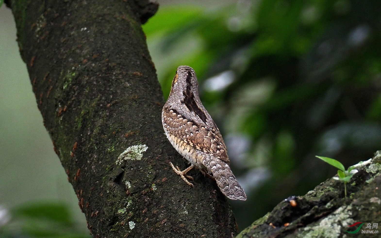 P5025152_����_DxO (����).jpg