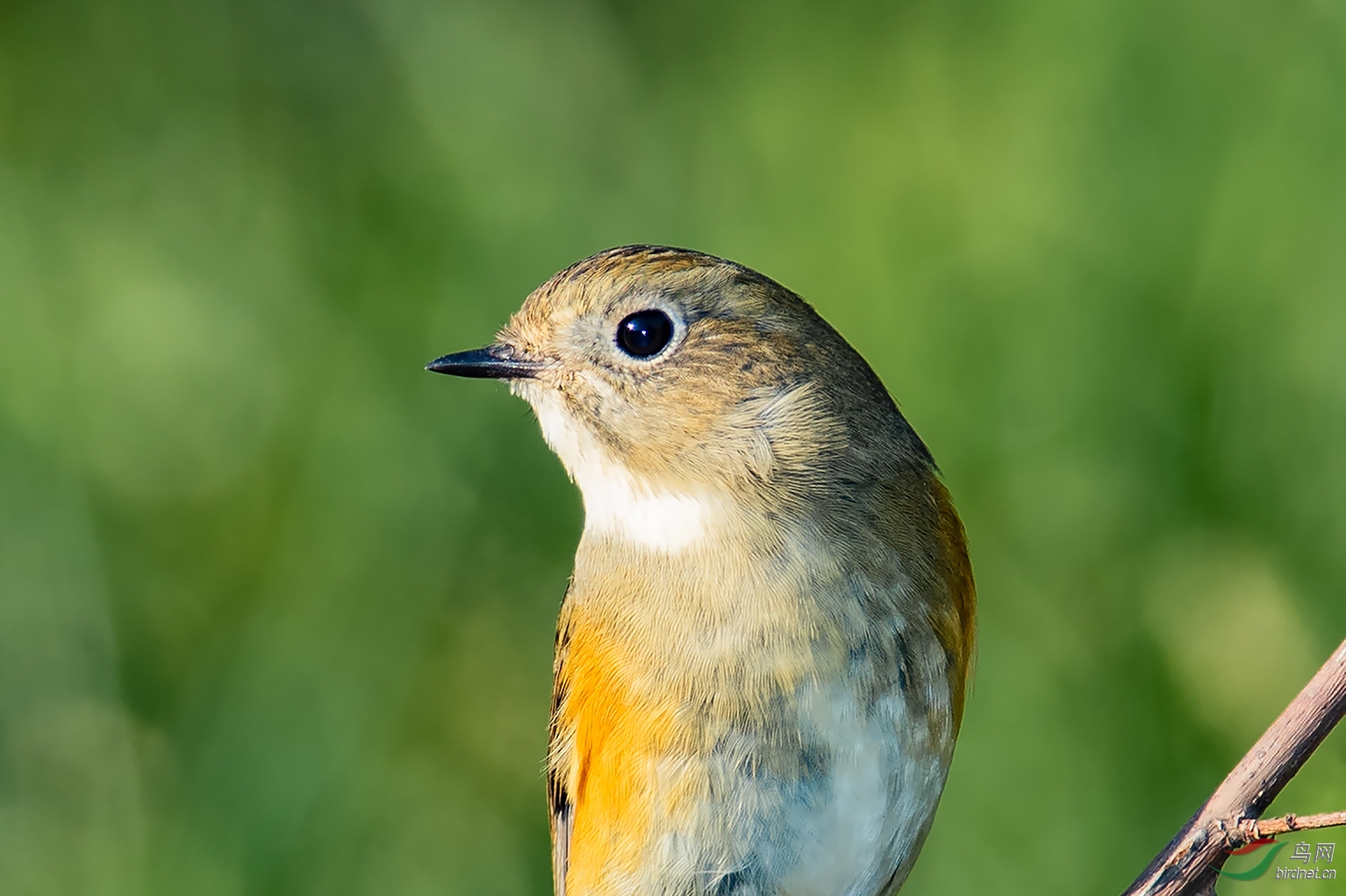 DSC_08135.jpg